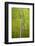 Rice Fields Near Siem Reap, Cambodia-David Wall-Framed Photographic Print