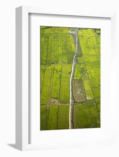 Rice Fields Near Siem Reap, Cambodia-David Wall-Framed Photographic Print