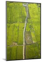Rice Fields Near Siem Reap, Cambodia-David Wall-Mounted Photographic Print
