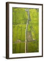 Rice Fields Near Siem Reap, Cambodia-David Wall-Framed Photographic Print