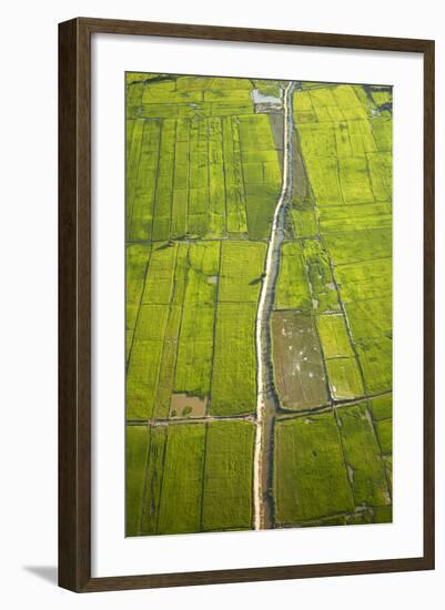 Rice Fields Near Siem Reap, Cambodia-David Wall-Framed Photographic Print