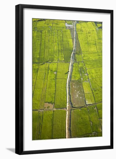 Rice Fields Near Siem Reap, Cambodia-David Wall-Framed Photographic Print