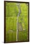 Rice Fields Near Siem Reap, Cambodia-David Wall-Framed Photographic Print