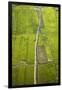 Rice Fields Near Siem Reap, Cambodia-David Wall-Framed Photographic Print