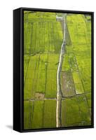 Rice Fields Near Siem Reap, Cambodia-David Wall-Framed Stretched Canvas