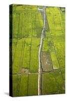 Rice Fields Near Siem Reap, Cambodia-David Wall-Stretched Canvas