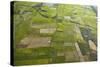 Rice Fields Near Siem Reap, Cambodia-David Wall-Stretched Canvas