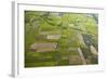Rice Fields Near Siem Reap, Cambodia-David Wall-Framed Photographic Print