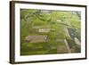 Rice Fields Near Siem Reap, Cambodia-David Wall-Framed Photographic Print