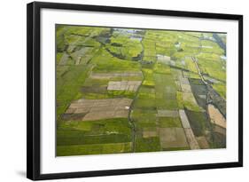 Rice Fields Near Siem Reap, Cambodia-David Wall-Framed Photographic Print