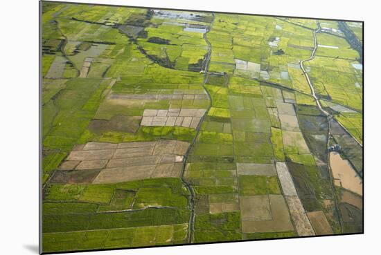 Rice Fields Near Siem Reap, Cambodia-David Wall-Mounted Photographic Print