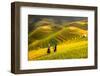 Rice Fields on Terraced of Mu Cang Chai, Yenbai, Rice Fields Prepare the Harvest at Northwest Vietn-anekoho-Framed Photographic Print