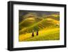 Rice Fields on Terraced of Mu Cang Chai, Yenbai, Rice Fields Prepare the Harvest at Northwest Vietn-anekoho-Framed Photographic Print