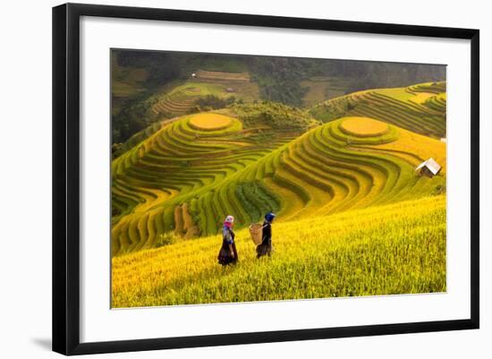 Rice Fields on Terraced of Mu Cang Chai, Yenbai, Rice Fields Prepare the Harvest at Northwest Vietn-anekoho-Framed Photographic Print