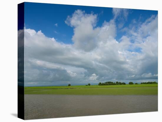 Rice fields with clouds along Kaladan River, Rakhine State, Myanmar-null-Stretched Canvas