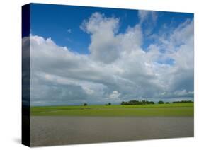 Rice fields with clouds along Kaladan River, Rakhine State, Myanmar-null-Stretched Canvas