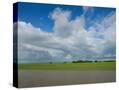 Stretched Canvas