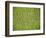 Rice Growing in 2000 Year Old Rice Terraces, Banaue, Luzon, Philippines, Asia-Maurice Joseph-Framed Photographic Print