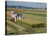 Rice Harvest with Mini-Combine-Harvester, Furano Valley, Central Hokkaido, Japan, Asia-Tony Waltham-Stretched Canvas