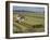 Rice Harvest with Mini-Combine-Harvester, Furano Valley, Central Hokkaido, Japan, Asia-Tony Waltham-Framed Photographic Print