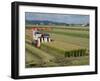 Rice Harvest with Mini-Combine-Harvester, Furano Valley, Central Hokkaido, Japan, Asia-Tony Waltham-Framed Photographic Print