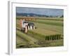 Rice Harvest with Mini-Combine-Harvester, Furano Valley, Central Hokkaido, Japan, Asia-Tony Waltham-Framed Photographic Print