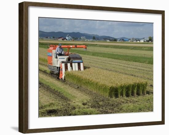 Rice Harvest with Mini-Combine-Harvester, Furano Valley, Central Hokkaido, Japan, Asia-Tony Waltham-Framed Photographic Print