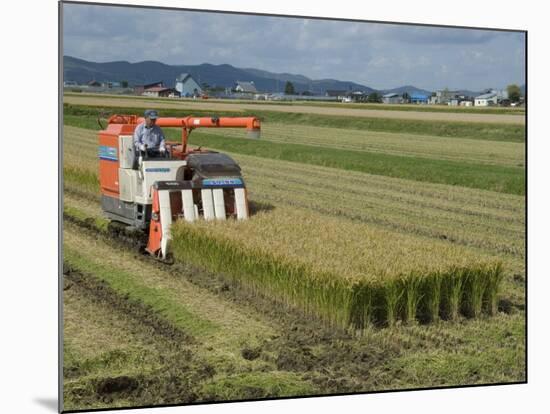 Rice Harvest with Mini-Combine-Harvester, Furano Valley, Central Hokkaido, Japan, Asia-Tony Waltham-Mounted Photographic Print