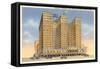 Rice Hotel, Houston, Texas-null-Framed Stretched Canvas
