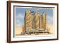 Brown Frame