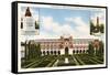 Rice Institute, Houston, Texas-null-Framed Stretched Canvas