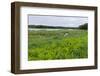 Rice Lake and Marshes at Breezy Point-jrferrermn-Framed Photographic Print