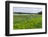 Rice Lake and Marshes at Breezy Point-jrferrermn-Framed Photographic Print