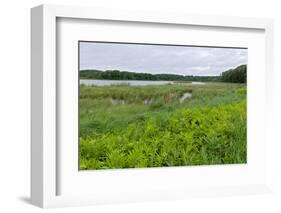 Rice Lake and Marshes at Breezy Point-jrferrermn-Framed Photographic Print