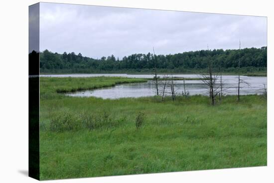 Rice Lake Landscape at Breezy Point-jrferrermn-Stretched Canvas