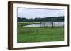 Rice Lake Landscape at Breezy Point-jrferrermn-Framed Photographic Print