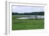 Rice Lake Landscape at Breezy Point-jrferrermn-Framed Photographic Print