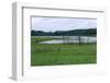 Rice Lake Landscape at Breezy Point-jrferrermn-Framed Photographic Print