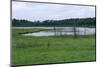 Rice Lake Landscape at Breezy Point-jrferrermn-Mounted Photographic Print