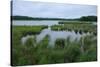 Rice Lake near Breezy Point-jrferrermn-Stretched Canvas