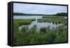 Rice Lake near Breezy Point-jrferrermn-Framed Stretched Canvas