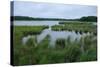 Rice Lake near Breezy Point-jrferrermn-Stretched Canvas