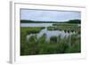 Rice Lake near Breezy Point-jrferrermn-Framed Photographic Print