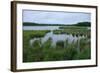 Rice Lake near Breezy Point-jrferrermn-Framed Photographic Print