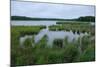 Rice Lake near Breezy Point-jrferrermn-Mounted Photographic Print