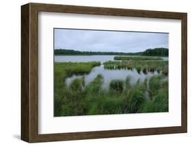 Rice Lake near Breezy Point-jrferrermn-Framed Photographic Print