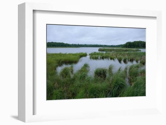 Rice Lake near Breezy Point-jrferrermn-Framed Photographic Print