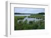 Rice Lake near Breezy Point-jrferrermn-Framed Photographic Print