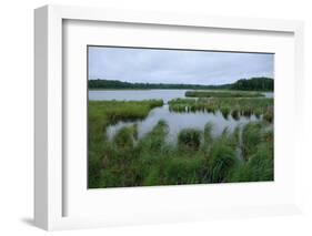 Rice Lake near Breezy Point-jrferrermn-Framed Photographic Print