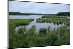 Rice Lake near Breezy Point-jrferrermn-Mounted Photographic Print